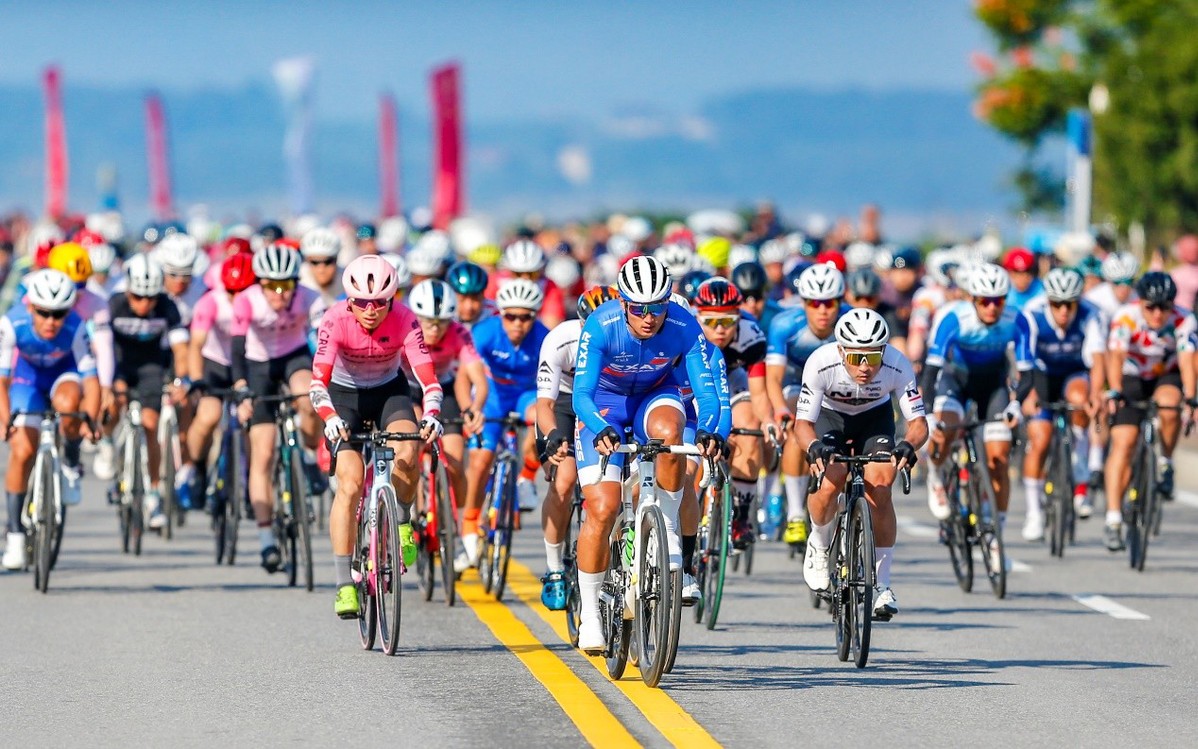 公路自行车比赛选手尽显风采